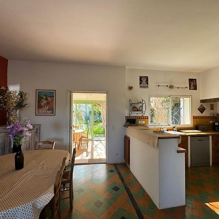 La Boissetane, Maison Provencale Avec Piscine Et Jardin, Au Pied Du Luberon Saint-Martin-de-Castillon Экстерьер фото