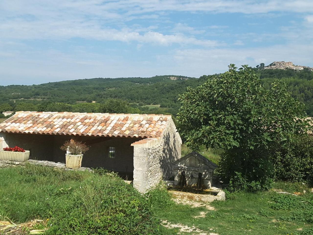 La Boissetane, Maison Provencale Avec Piscine Et Jardin, Au Pied Du Luberon Saint-Martin-de-Castillon Экстерьер фото